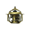Termostat 52mm  Deutz-Fahr Same Lamborghini SDF  0.900.0133.3