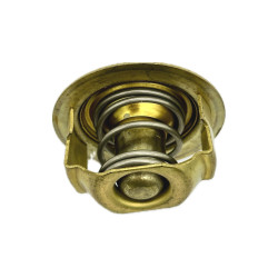 Termostat 52mm  Deutz-Fahr Same Lamborghini SDF  0.900.0133.3