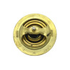 Termostat 52mm  Deutz-Fahr Same Lamborghini SDF  0.900.0133.3