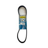 Pasek wielorowkowy 5PK 850 -Roven