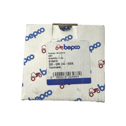 Termostat Bepco  200-UNI 143-0008 74*C