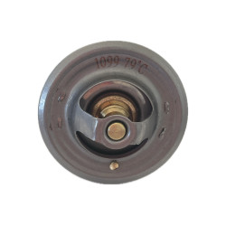 Termostat  79 stopni 21/143-113