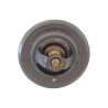 Termostat  79 stopni 21/143-113