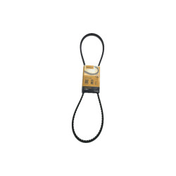 Pas klinowy AVX 10 x 1250 - Continental