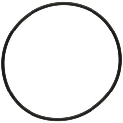 Pierścień uszczelniający / oring  sprzęgła WOM Deutz - Fahr SDF 2.1532.503.0