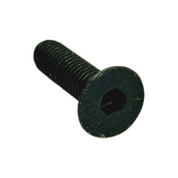 Śruba szyby / Śruba M8 1.25x30   Deutz - Fahr SDF  2.0342.308.3