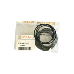 Pierścień uszczelniający / oring  171.12 x 2.62 Deutz - Fahr SDF  2.1539.125.0