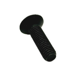 Śruba szyby / Śruba M8 1.25x30   Deutz - Fahr SDF  2.0342.308.3