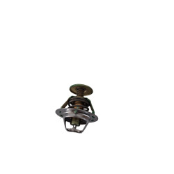Termostat 0.900.7607.4