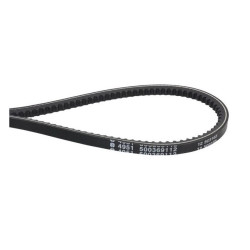 Pasek klinowy zębaty 13 x 1175