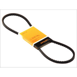 Pasek klinowy AVX10X1125